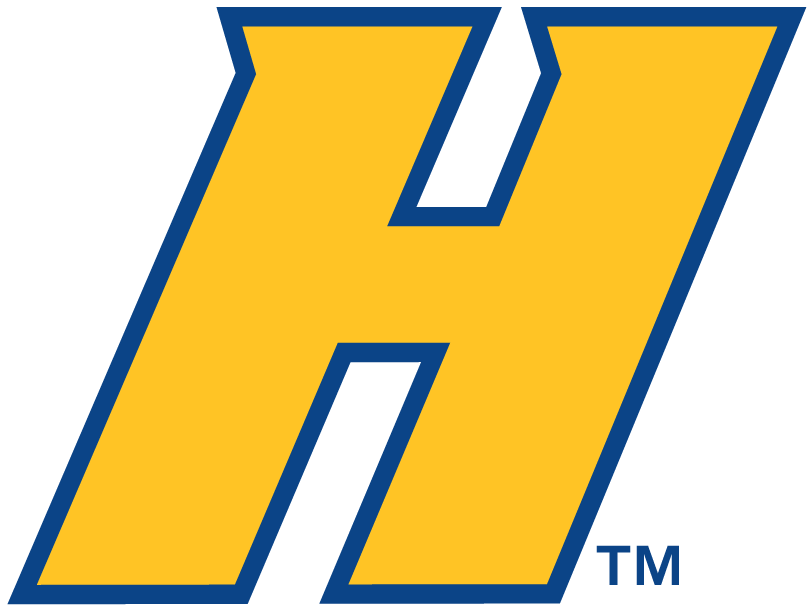 Hofstra Pride 2005-Pres Alternate Logo v2 DIY iron on transfer (heat transfer)